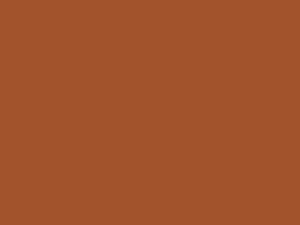 Herrumbre (color) en inglés es Rust